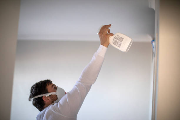 Best Professional Mold Removal  in Elgin, IL