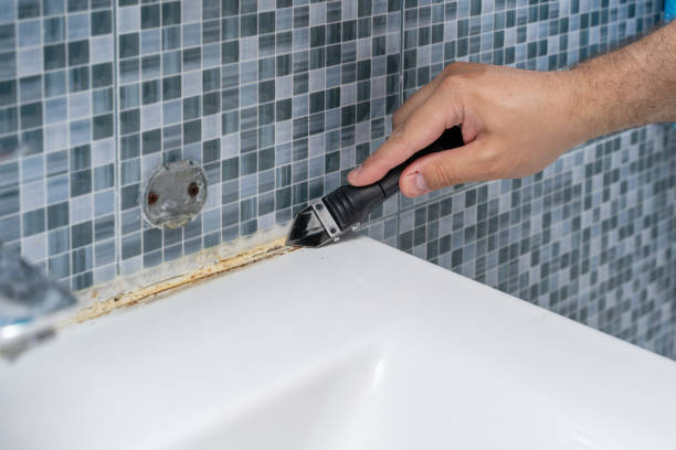 Best Mold Inspection  in Elgin, IL