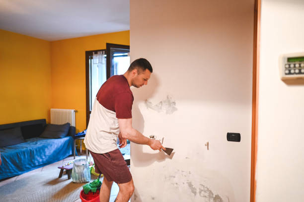 Best Certified Mold Removal  in Elgin, IL